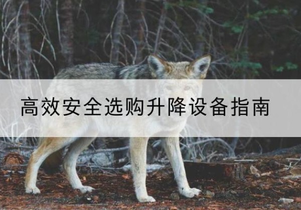 河间升降货梯厂家推荐-*安全选购升降设备指南