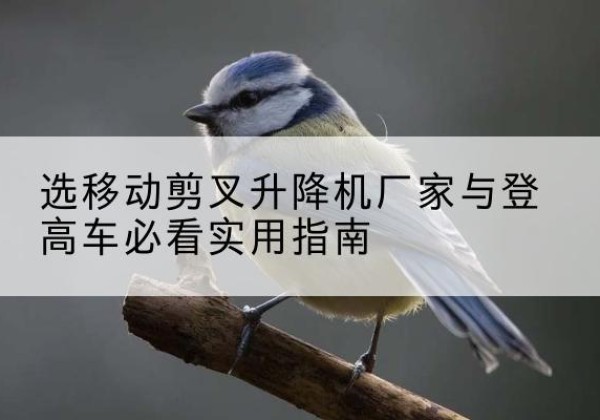 河间电动升降机厂家-选移动剪叉升降机厂家与登高车必看实用指南