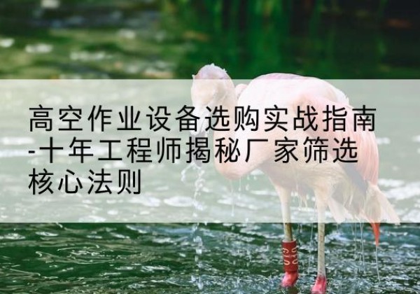 河间剪叉式升降机厂家-高空作业设备选购实战指南-十年工程师揭秘厂家筛选核心法则